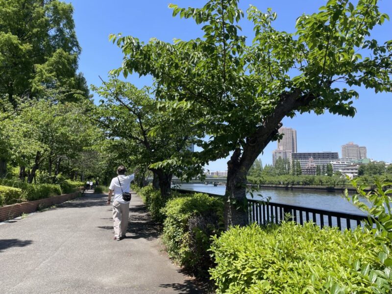 Waterside promenade along the Okawa River